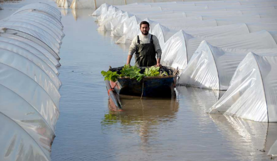 Mersin'de sel felaketi sonrası çiftçiler sigorta sorunu yaşıyor